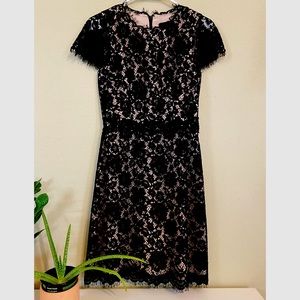 Jcrew Collection - lace dress